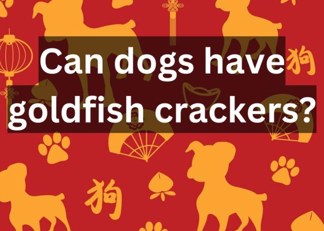 Can dogs have goldfish crackers?