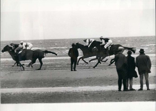 How Long a Horse Can Run? Understanding Their Speed and Endurance Limits